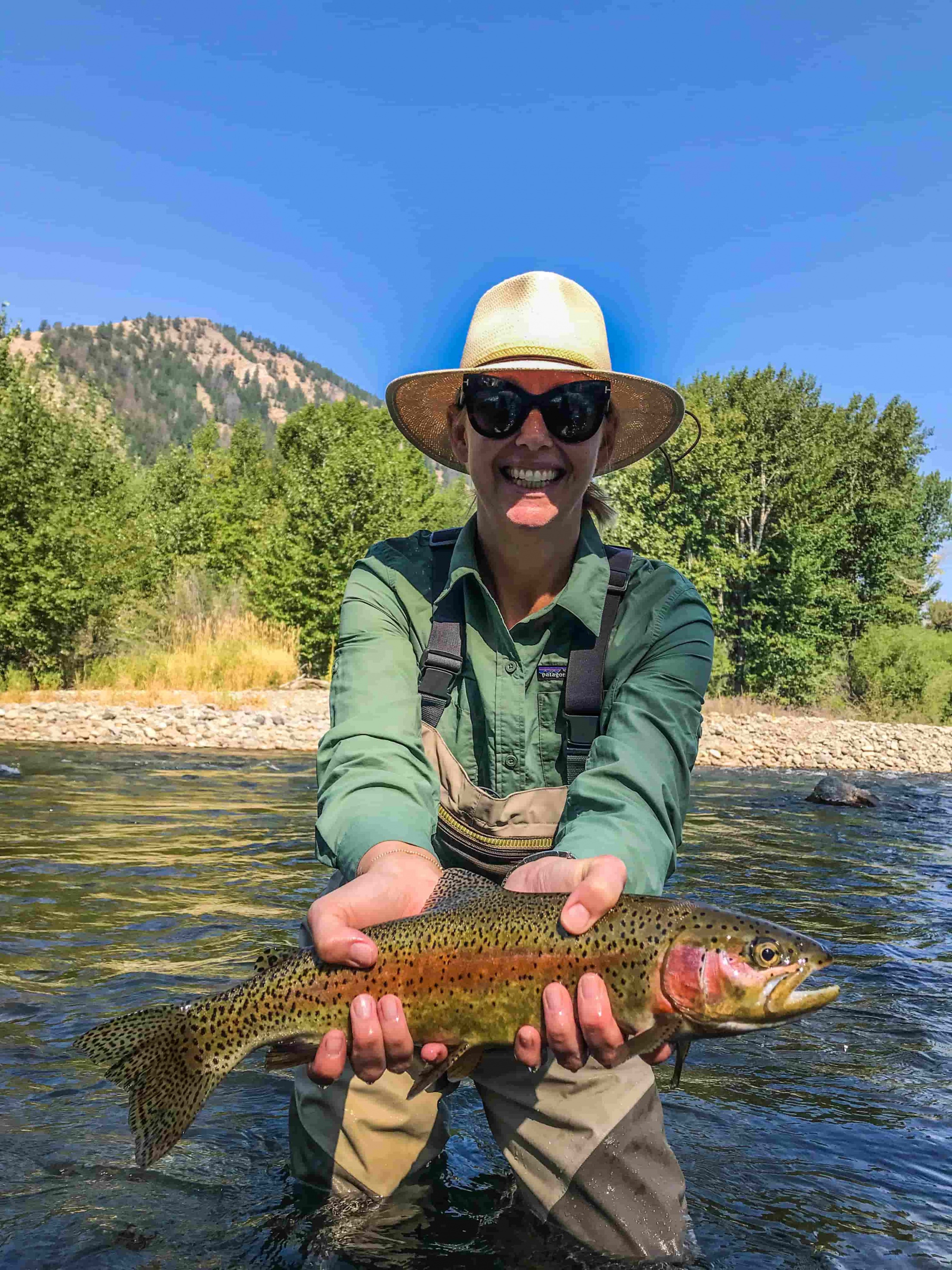 Sun Valley Ketchum Guided fly fishing day trips